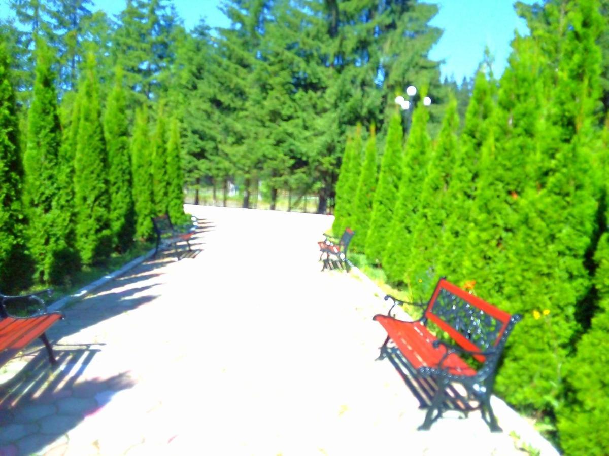 Miraj - Restaurant & Sauna & Biliard Hotel Poiana Brasov
