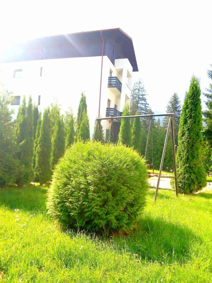 Miraj - Restaurant & Sauna & Biliard 4* Poiana Brasov