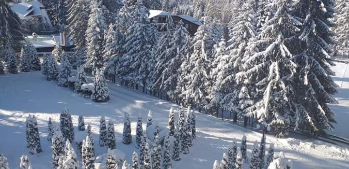 Hotel Miraj - Restaurant & Sauna & Biliard