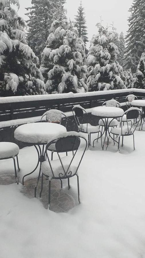 Miraj - Restaurant & Sauna & Biliard 4*