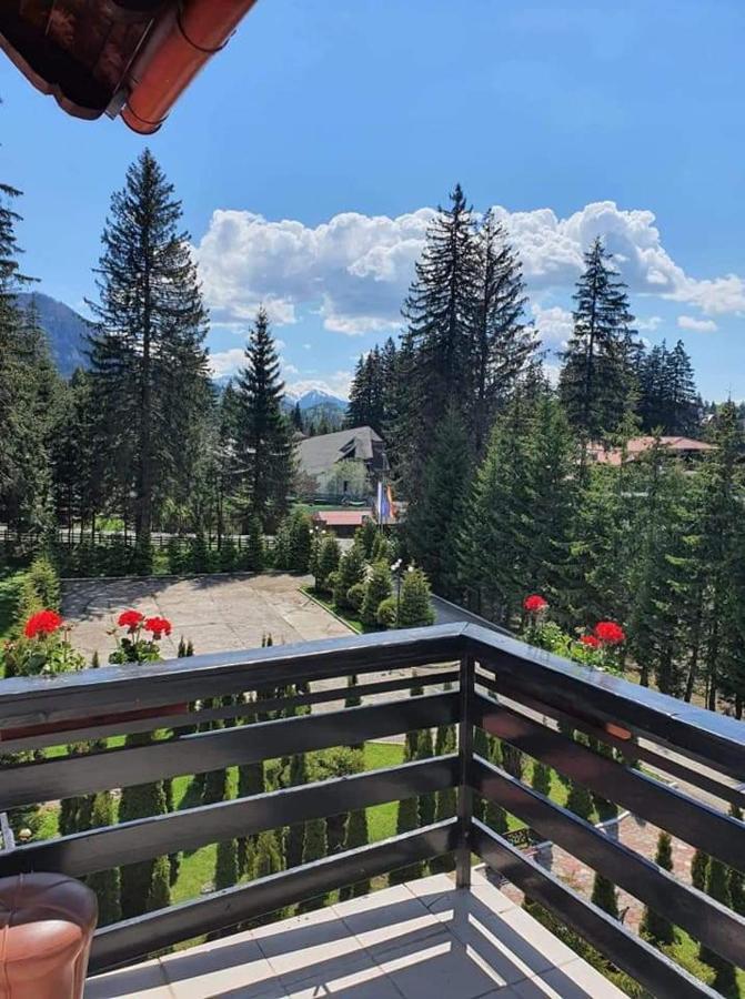 Miraj - Restaurant & Sauna & Biliard 4* Poiana Brasov