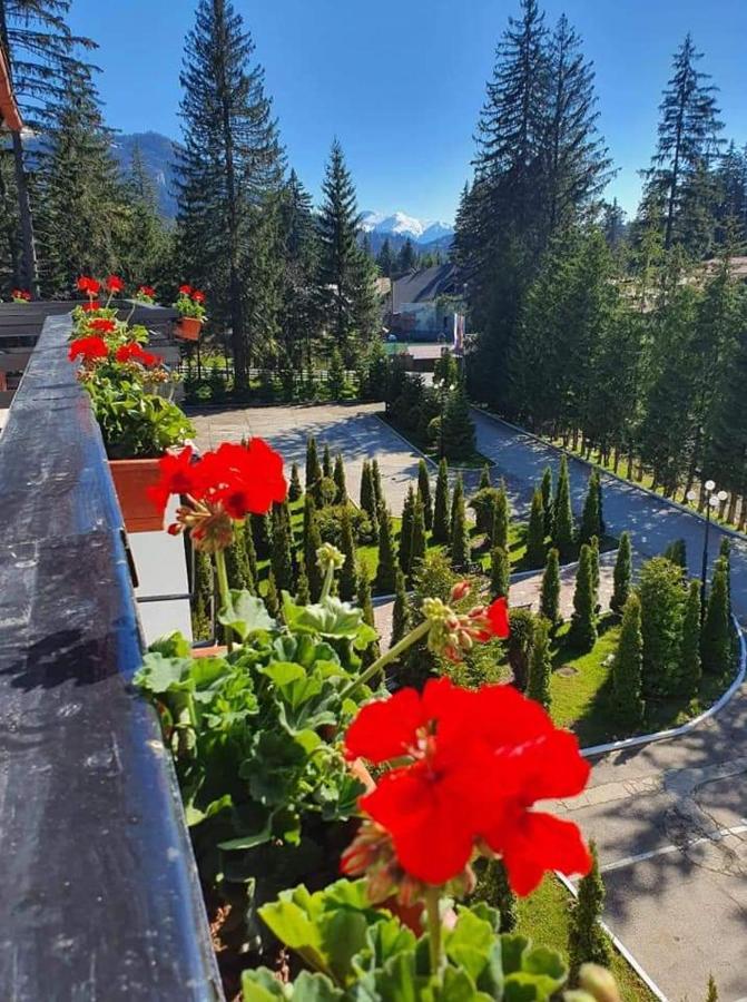 Miraj - Restaurant & Sauna & Biliard Hotel Poiana Brasov